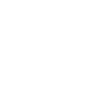 炖锅