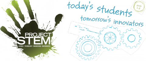 S.T.E.M: The New Courses for the Future